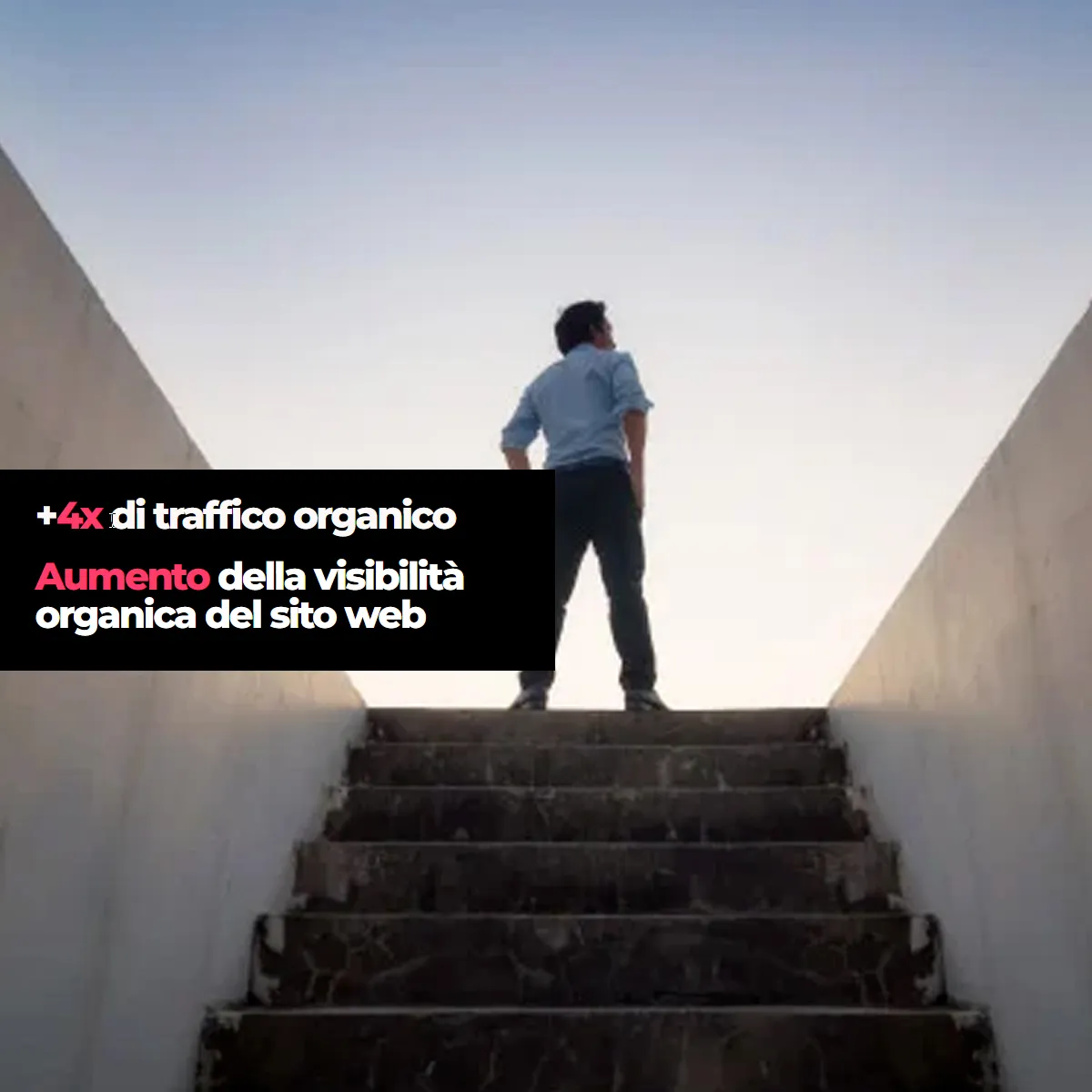 caso studio sass seo